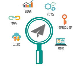 从数据应用到商业蓝海 企业管理领域万亿市场的开拓之路